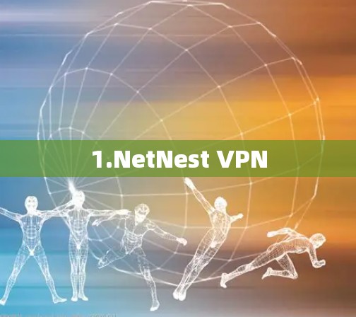 1.NetNest VPN 1.NetNest VPN