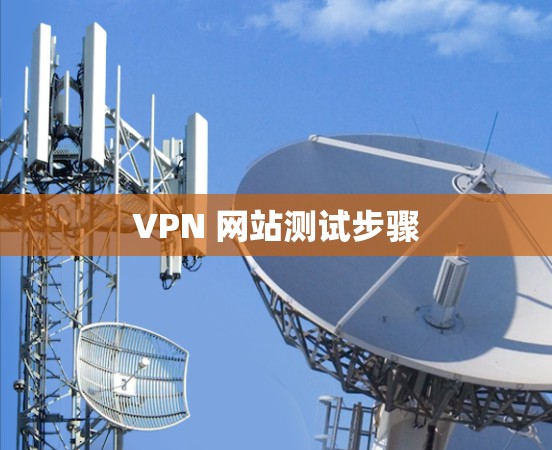 VPN 网站测试步骤
