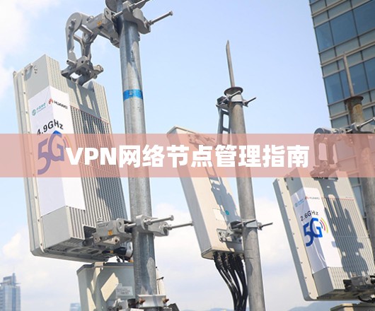 VPN网络节点管理指南