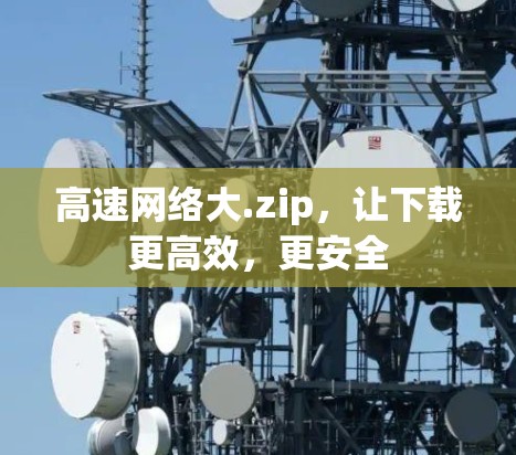 高速网络大.zip,让下载更高效,更安全 高速网络大.zip,让下载更高效,更安全
