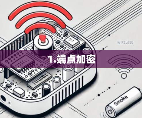 1.端点加密 1.端点加密