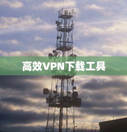 高效VPN下载工具 高效VPN下载工具