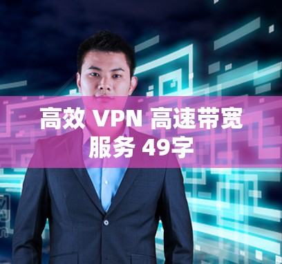 高效 VPN 高速带宽服务 49字