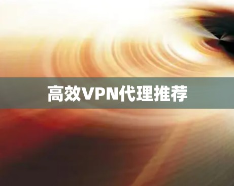 高效VPN代理推荐