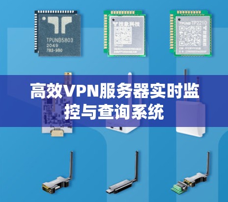 高效VPN服务器实时监控与查询系统 高效VPN服务器实时监控与查询系统