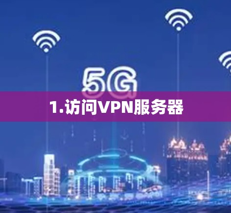 1.访问VPN服务器 1.访问VPN服务器