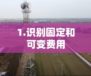 1.识别固定和可变费用 1.识别固定和可变费用