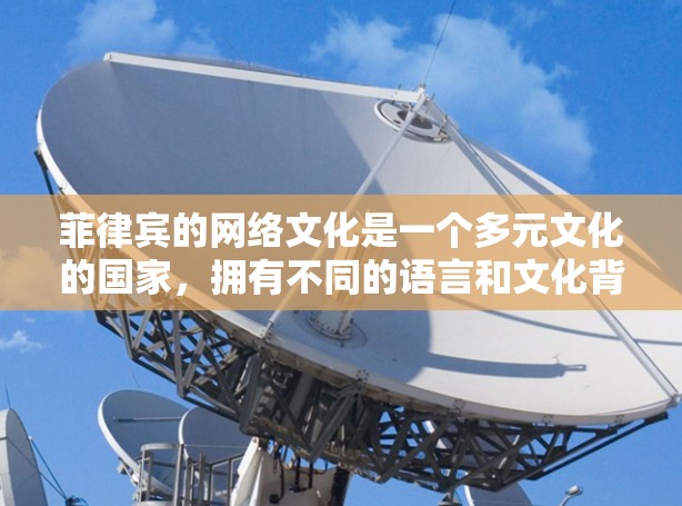 菲律宾的网络文化是一个多元文化的国家，拥有不同的语言和文化背景，这可能影响用户对VPN服务的选择和使用方式。用户可能更倾向于选择那些尊重当地文化、提供高质量网络服务的VPN