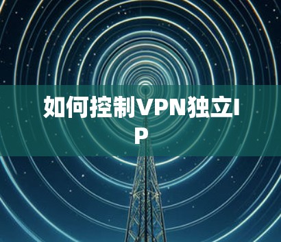 如何控制VPN独立IP