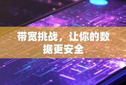 带宽挑战，让你的数据更安全