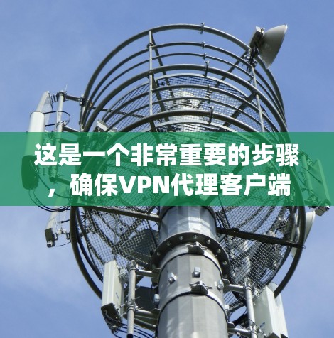 这是一个非常重要的步骤,确保VPN代理客户端正确安装和配置。以下是安装VPN代理客户端的详细步骤 这是一个非常重要的步骤,确保VPN代理客户端正确安装和配置。以下是安装VPN代理客户端的详细步骤