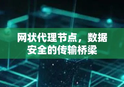 网状代理节点，数据安全的传输桥梁