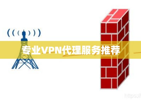 专业VPN代理服务推荐