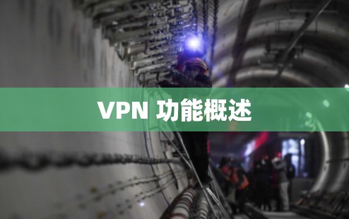 VPN 功能概述