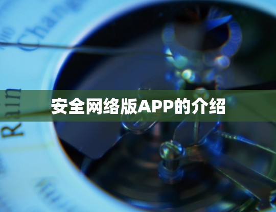 安全网络版APP的介绍 安全网络版APP的介绍