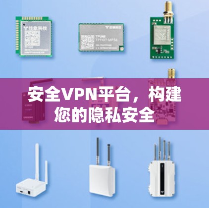 安全VPN平台，构建您的隐私安全