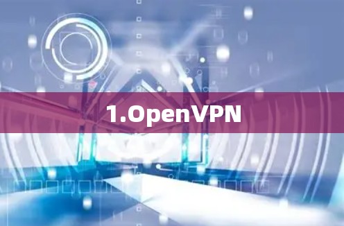 1.OpenVPN 1.OpenVPN