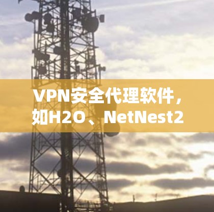 VPN安全代理软件，如H2O、NetNest2和NAT，是提供高级安全功能的选项。以下是这些软件的最新版本