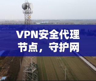 VPN安全代理节点，守护网络安全的基石