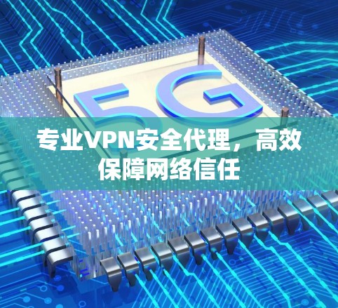 专业VPN安全代理，高效保障网络信任