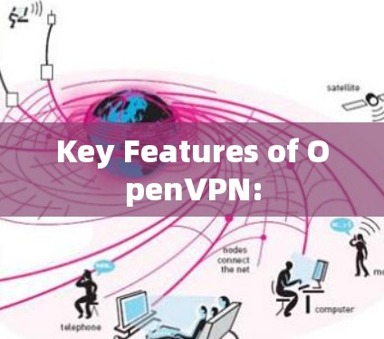 Key Features of OpenVPN: Key Features of OpenVPN: