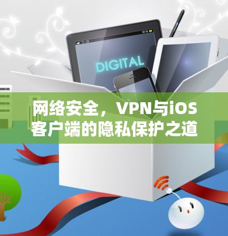 网络安全,VPN与iOS客户端的隐私保护之道 网络安全,VPN与iOS客户端的隐私保护之道