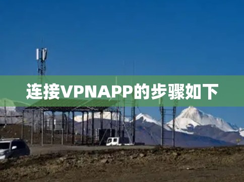 连接VPNAPP的步骤如下