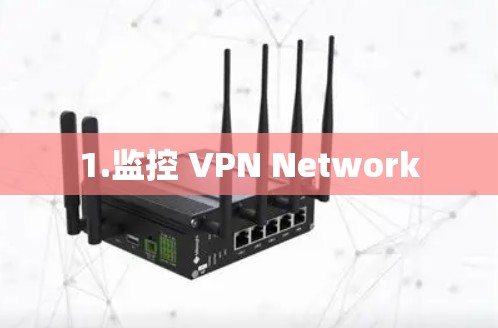 1.监控 VPN Network 1.监控 VPN Network