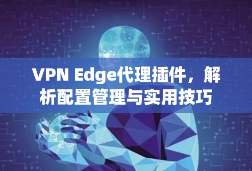 VPN Edge代理插件，解析配置管理与实用技巧
