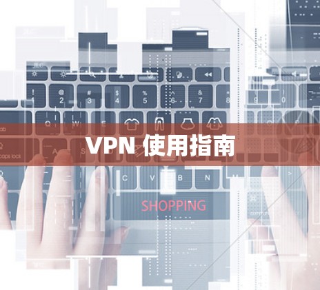 VPN 使用指南 VPN 使用指南
