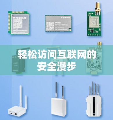 轻松访问互联网的安全漫步