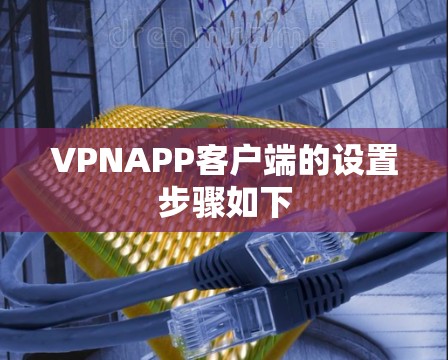 VPNAPP客户端的设置步骤如下 VPNAPP客户端的设置步骤如下