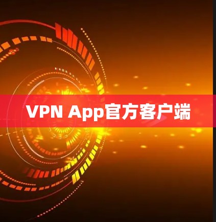 VPN App官方客户端 VPN App官方客户端
