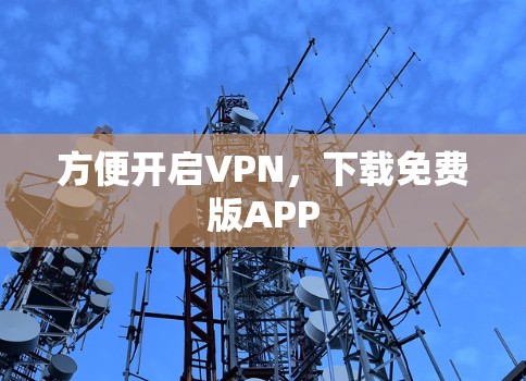 方便开启VPN,下载免费版APP 方便开启VPN,下载免费版APP