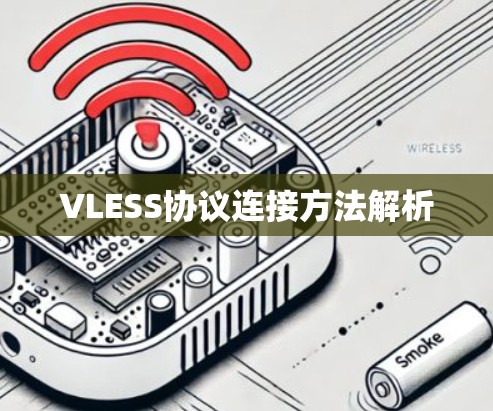 VLESS协议连接方法解析
