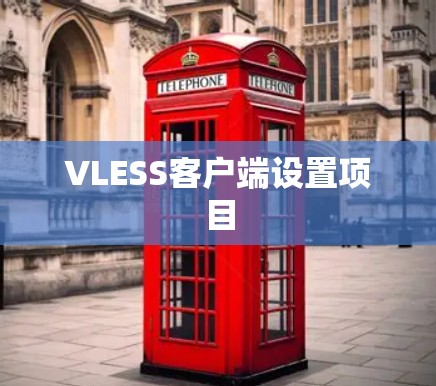 VLESS客户端设置项目