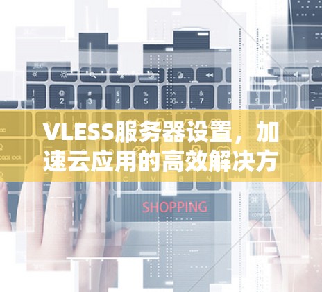 VLESS服务器设置，加速云应用的高效解决方案