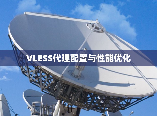 VLESS代理配置与性能优化