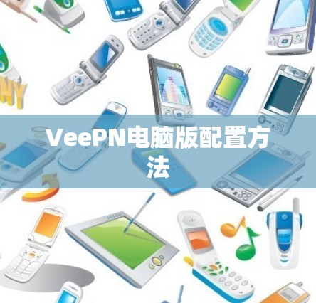 VeePN电脑版配置方法 VeePN电脑版配置方法