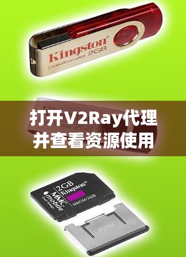 打开V2Ray代理并查看资源使用情况 打开V2Ray代理并查看资源使用情况
