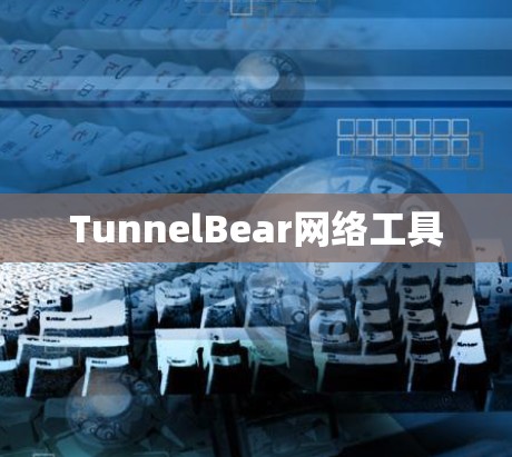 TunnelBear网络工具 TunnelBear网络工具