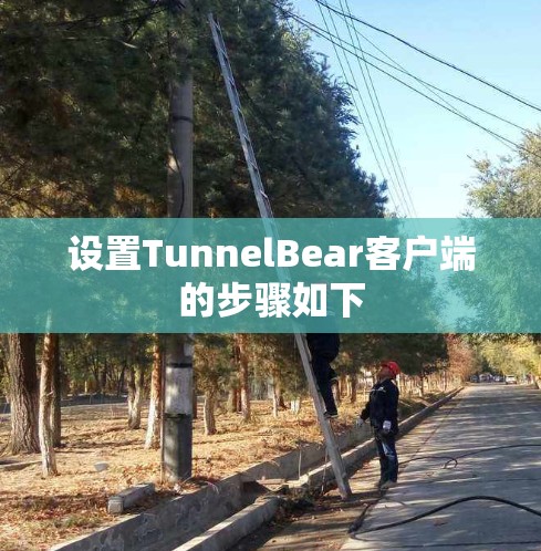 设置TunnelBear客户端的步骤如下 设置TunnelBear客户端的步骤如下