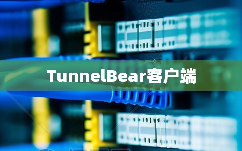 TunnelBear客户端 TunnelBear客户端