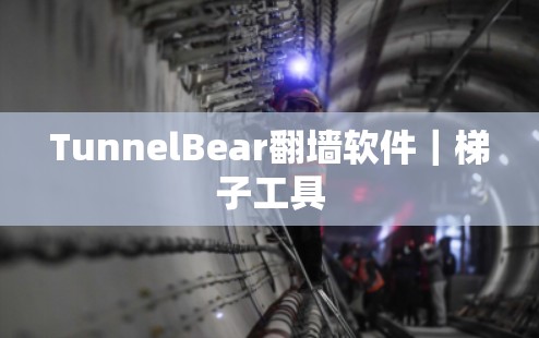 TunnelBear翻墙软件|梯子工具 TunnelBear翻墙软件|梯子工具