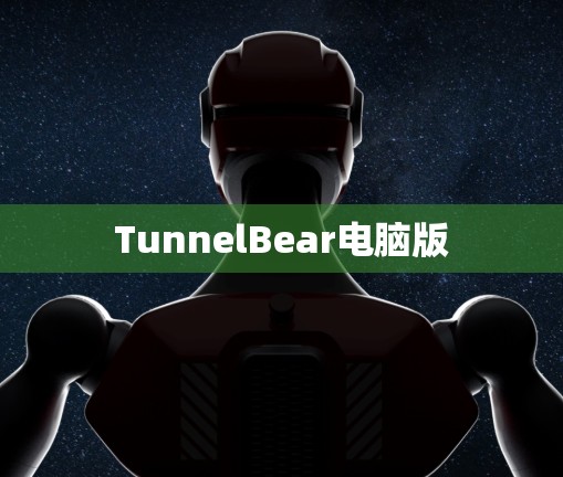 TunnelBear电脑版