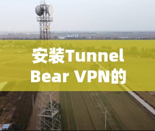 安装TunnelBear VPN的步骤如下