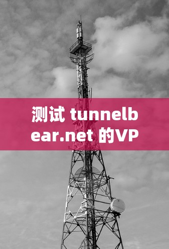 测试 tunnelbear.net 的VPN连接可以按照以下步骤进行 测试 tunnelbear.net 的VPN连接可以按照以下步骤进行