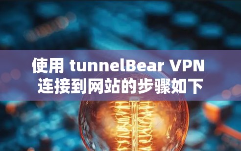 使用 tunnelBear VPN 连接到网站的步骤如下