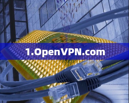 1.OpenVPN.com