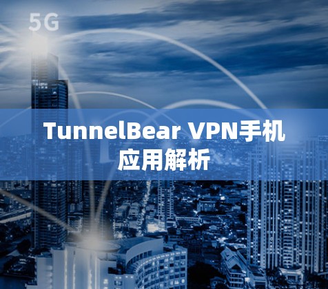 TunnelBear VPN手机应用解析